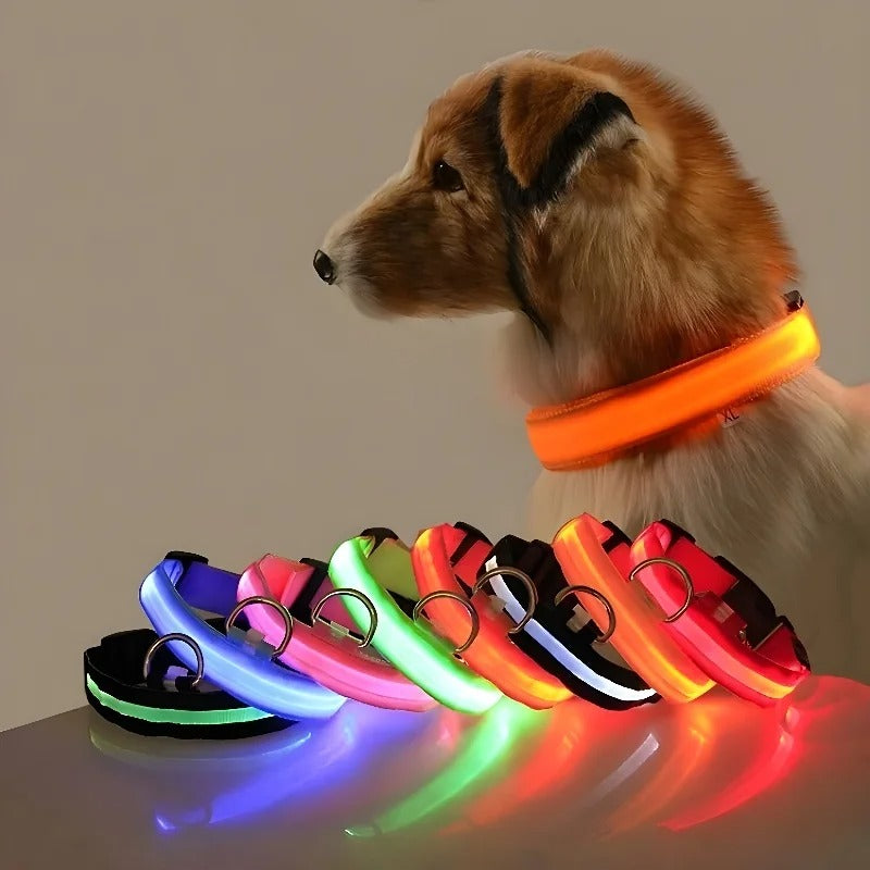 Collar de nailon con luz LED para perro