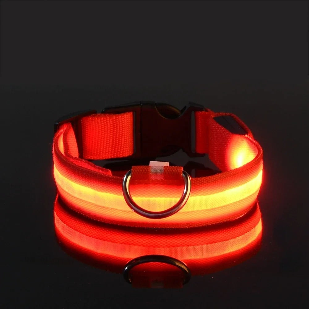 Collar de nailon con luz LED para perro