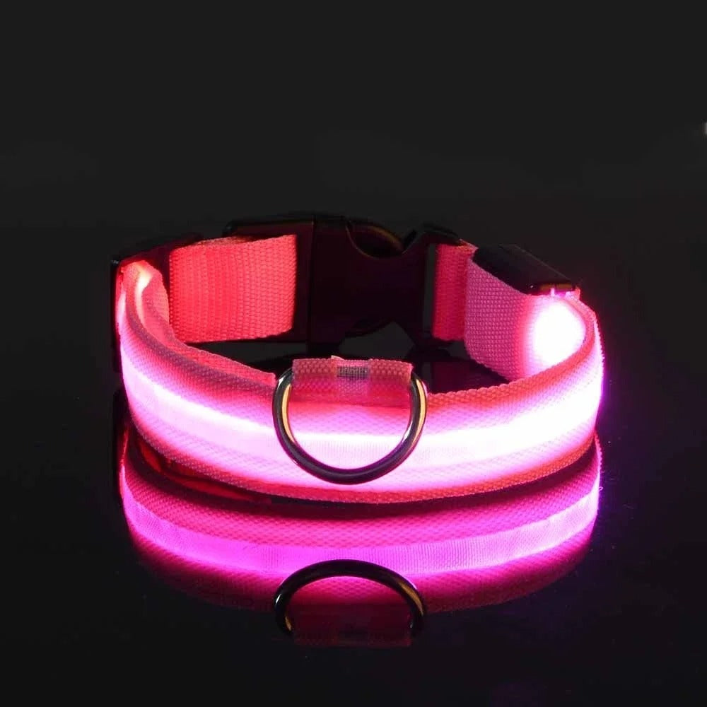 Collar de nailon con luz LED para perro