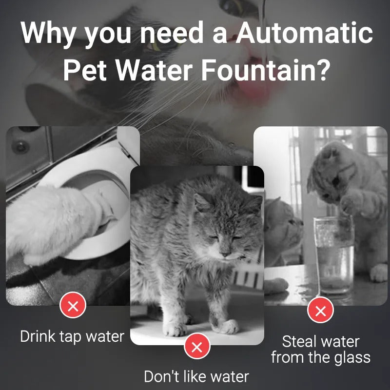 Fuente de agua inteligente para gatos